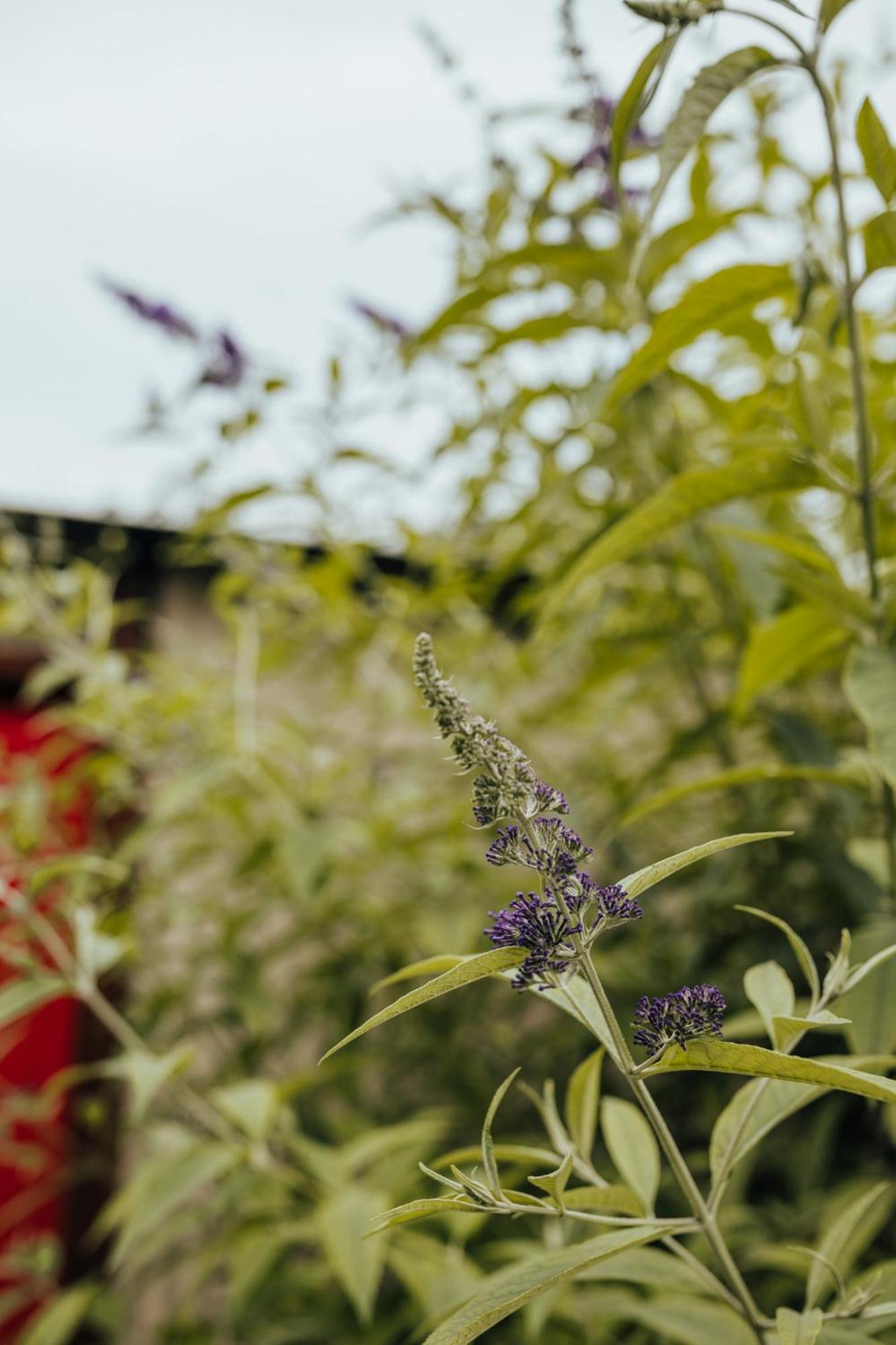 Oakhurst Farm Cottages วิลเดอร์เนส ภายนอก รูปภาพ